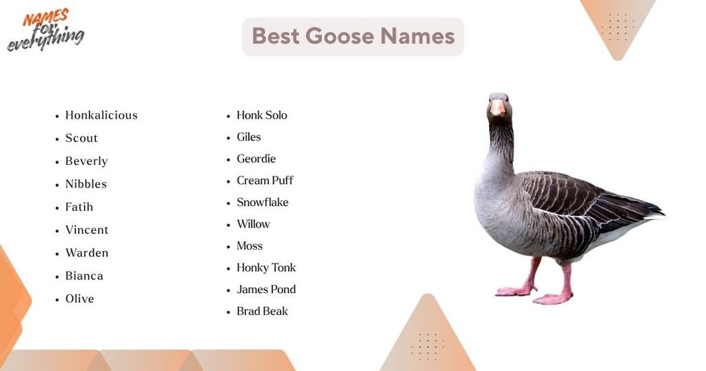 Best Goose Names