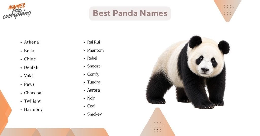 Best Panda Names