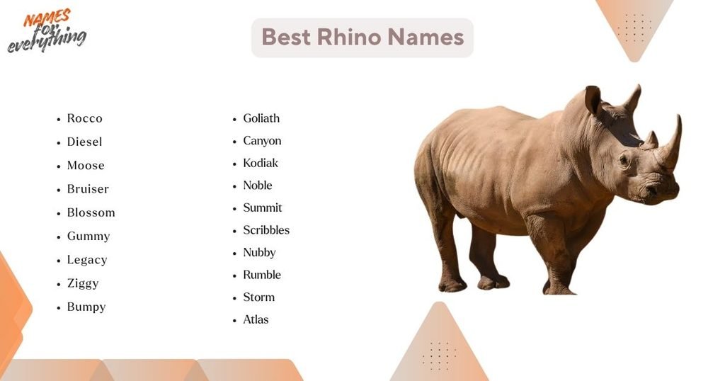 Best Rhino Names