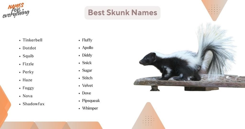Best Skunk Names