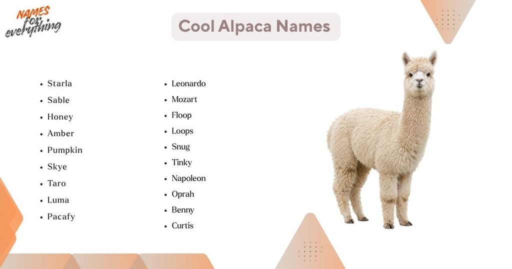 Cool Alpaca Names
