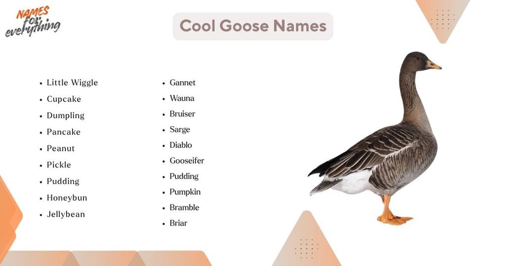 Cool Goose Names