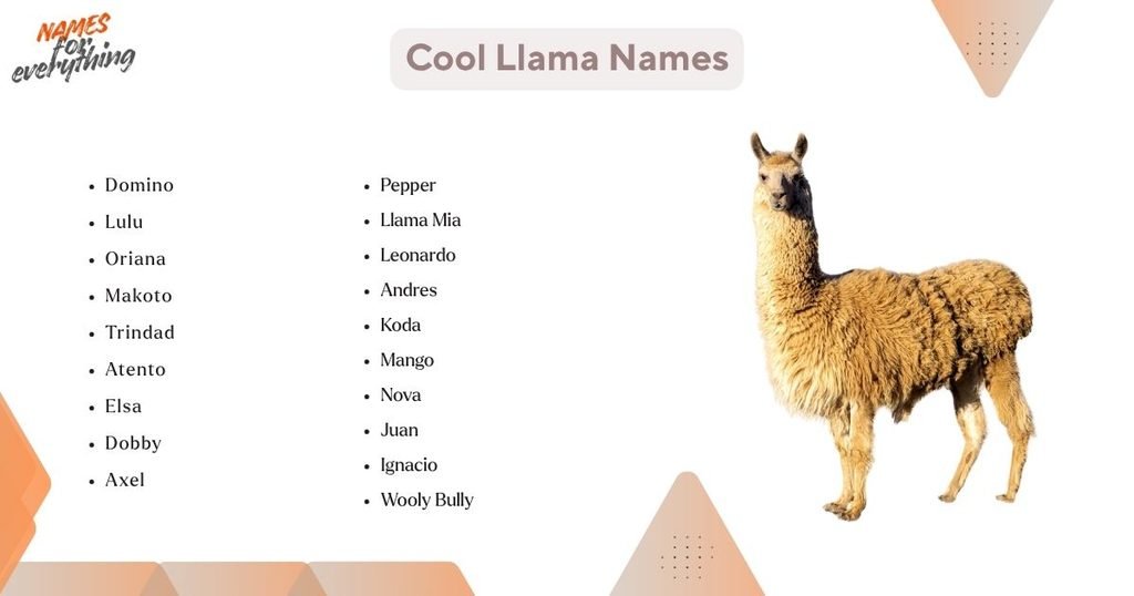 Cool Llama Names