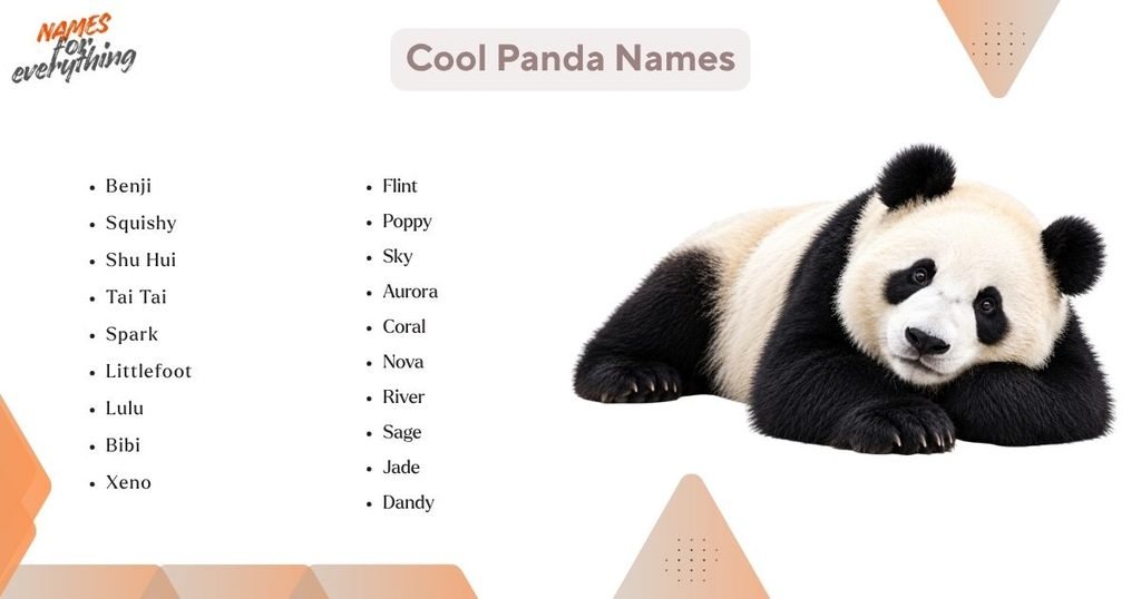 Cool Panda Names