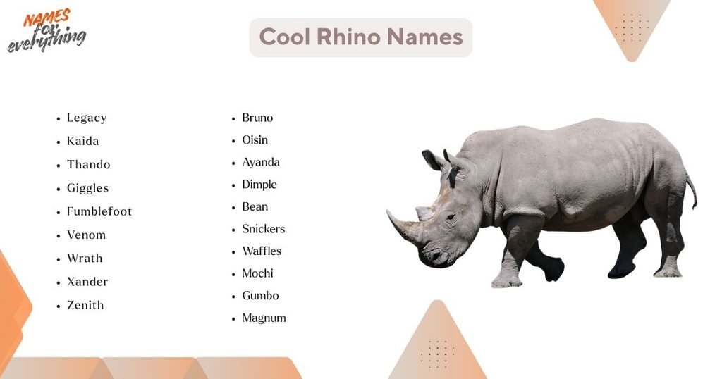 Cool Rhino Names
