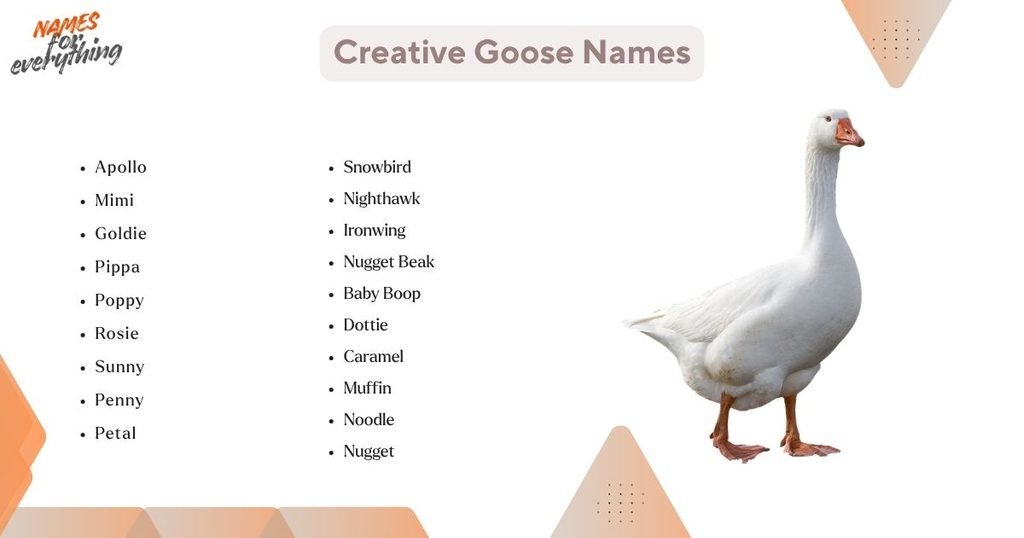 Creative Goose Names