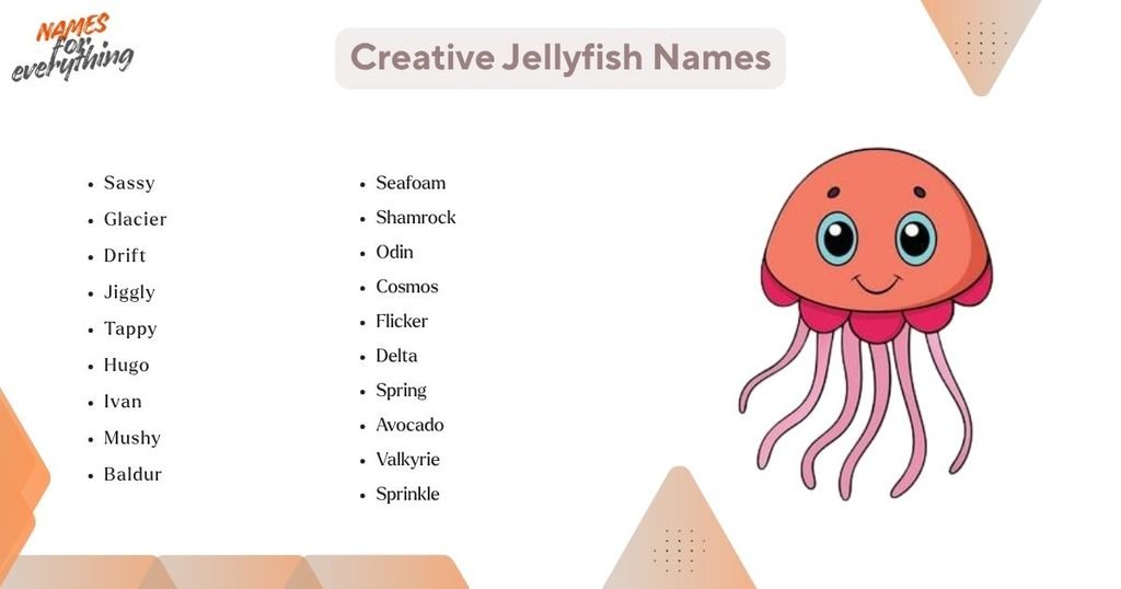 Creative Jellyfish Names