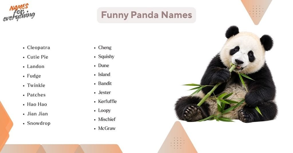 Funny Panda Names