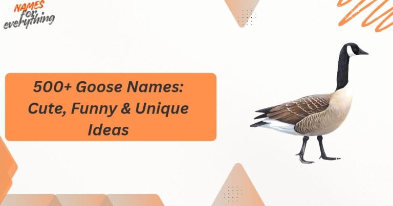 Goose Names