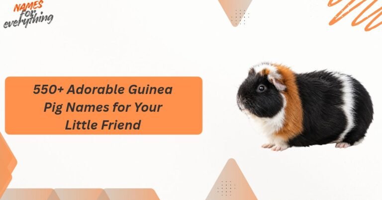 Guinea Pig Names