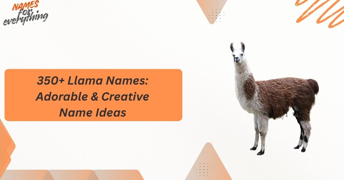 Llama Names