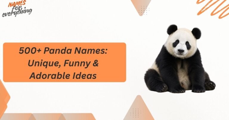 Panda Names