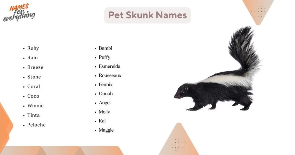Pet Skunk Names