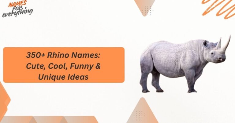 Rhino Names