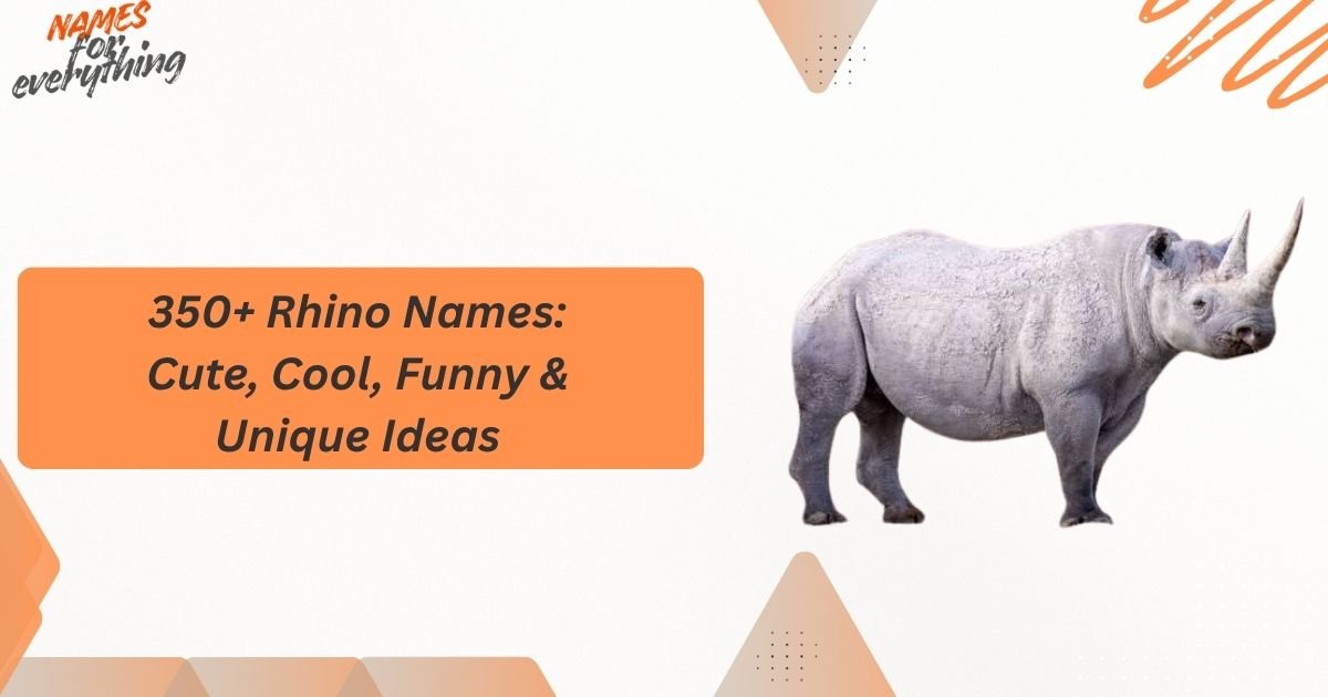 Rhino Names