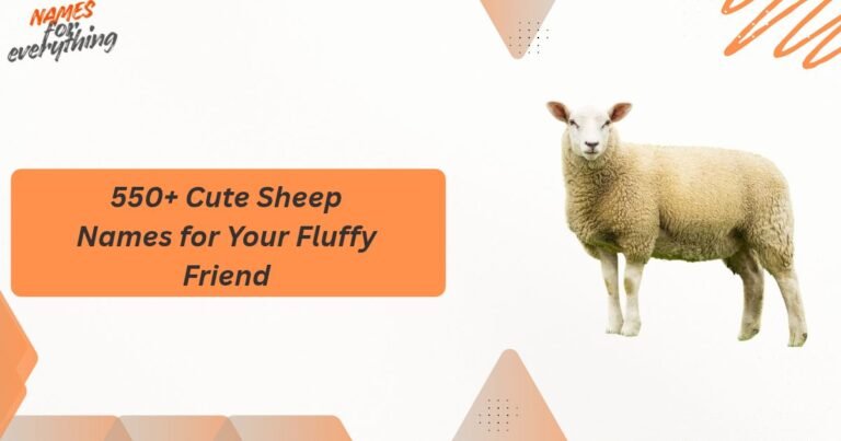 Sheep Names