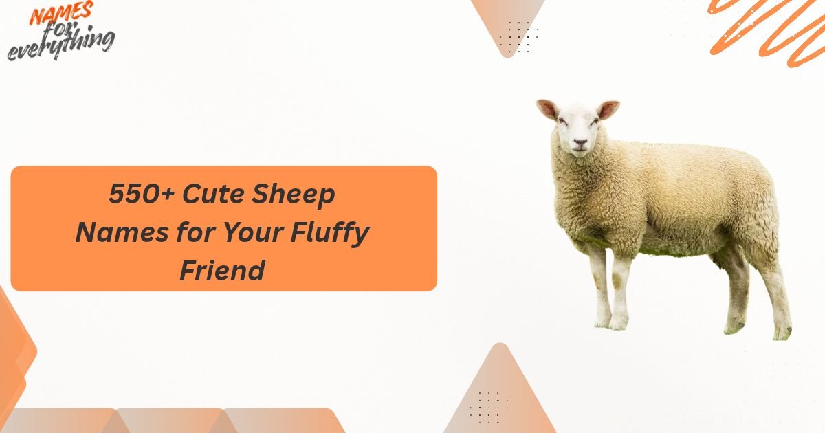 Sheep Names
