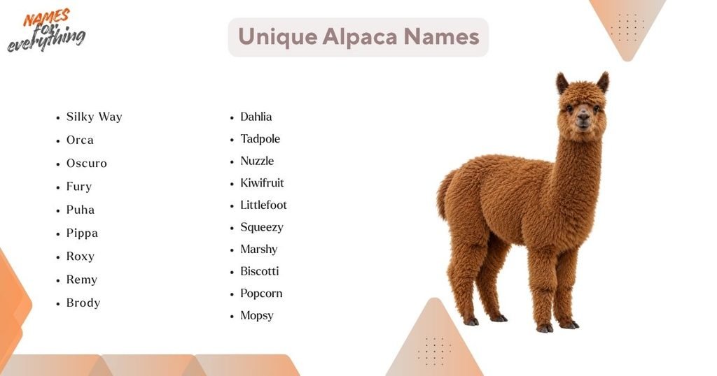 Unique Alpaca Names