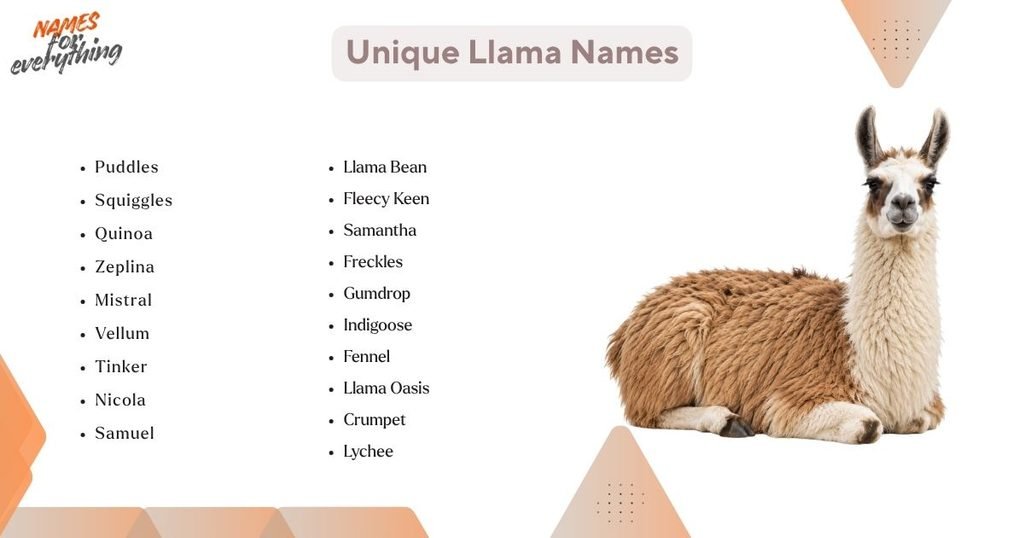 Unique Llama Names
