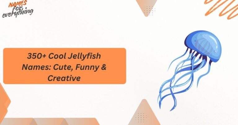 jellyfish names