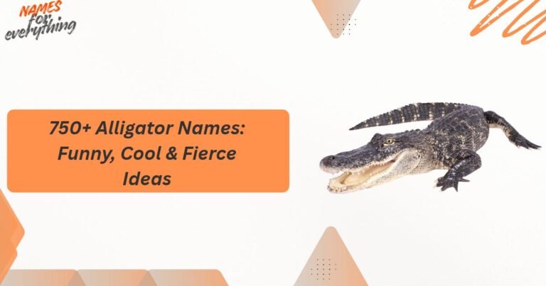 Alligator Names