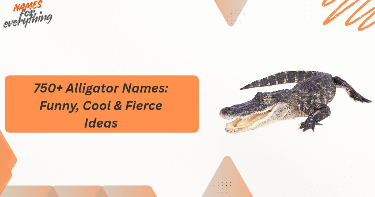 Alligator Names