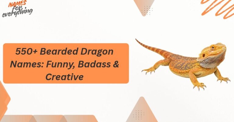 Bearded Dragon Names