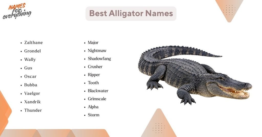 Best Alligator Names