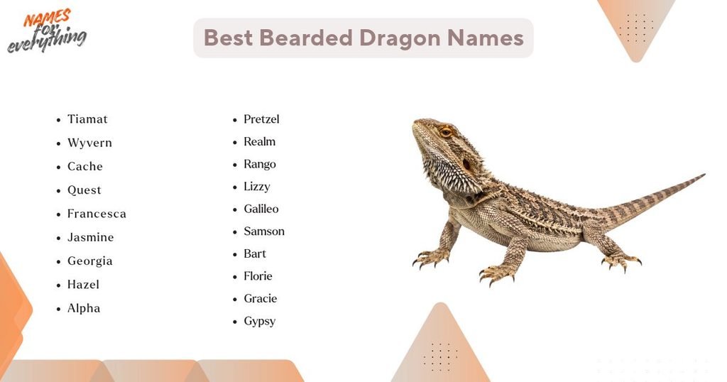 Best Bearded Dragon Names