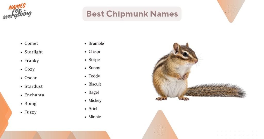 Best Chipmunk Names