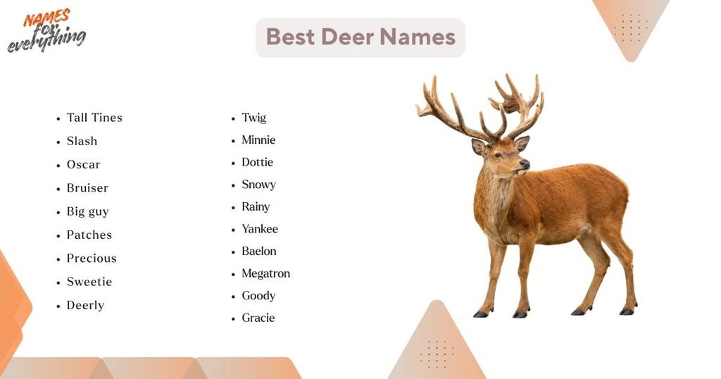 Best Deer Names