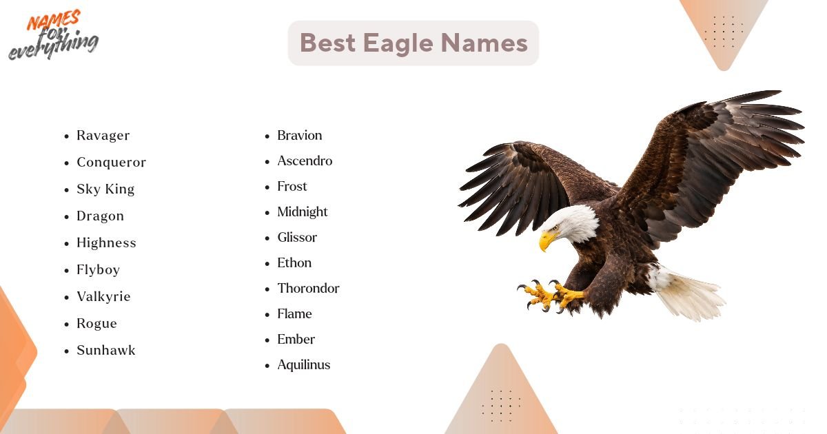 Best Eagle Names