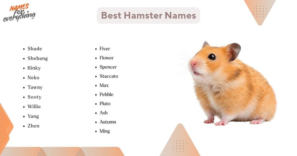 Best Hamster Names