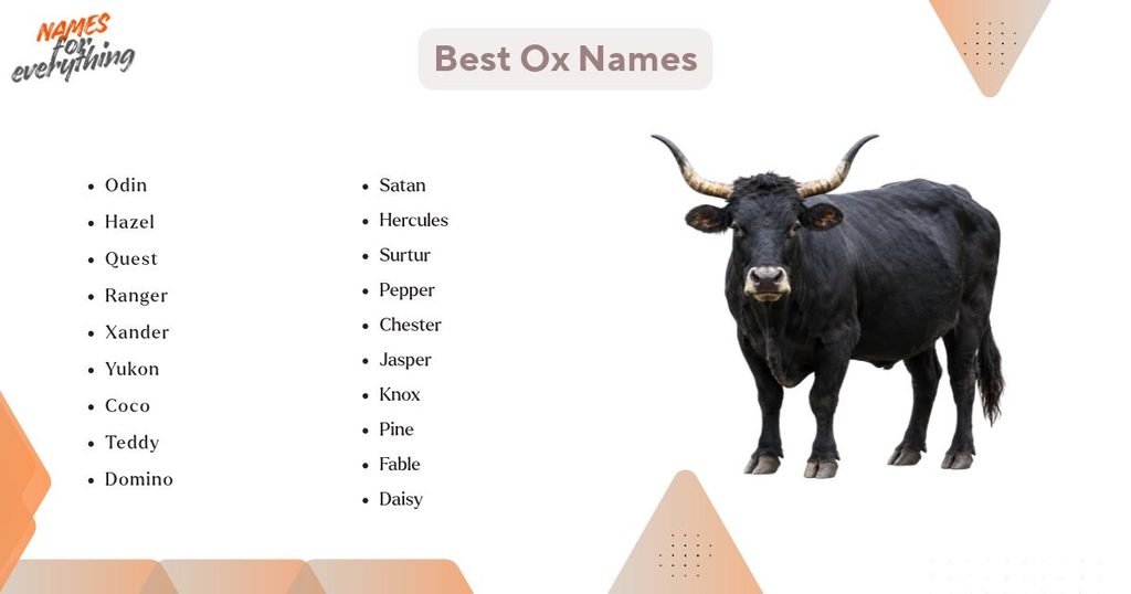 Best Ox Names