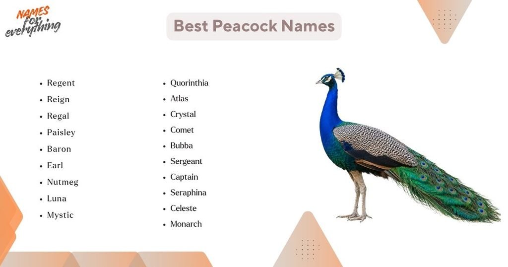 Best Peacock Names