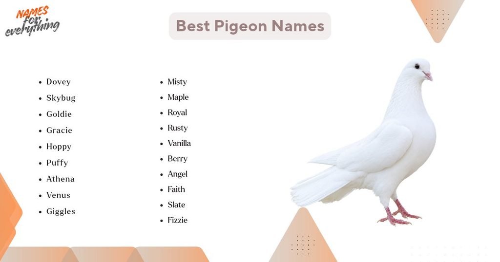 Best Pigeon Names