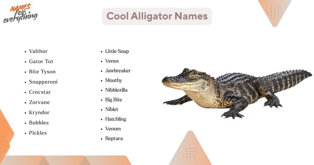 Cool Alligator Names