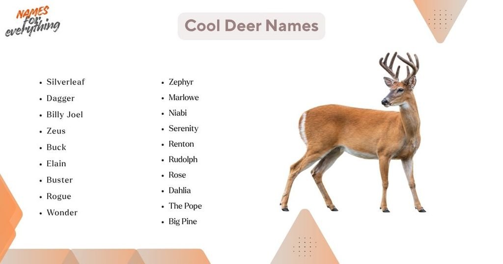 Cool Deer Names