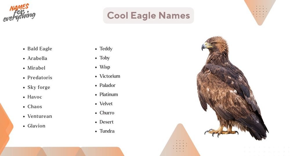 Cool Eagle Names