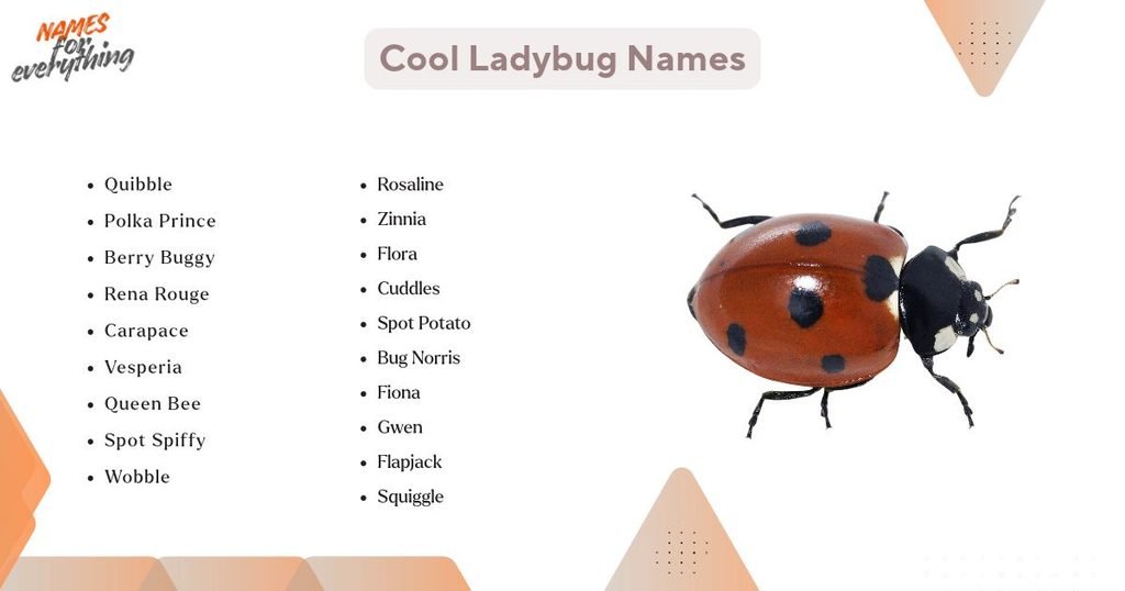 Cool Ladybug Names