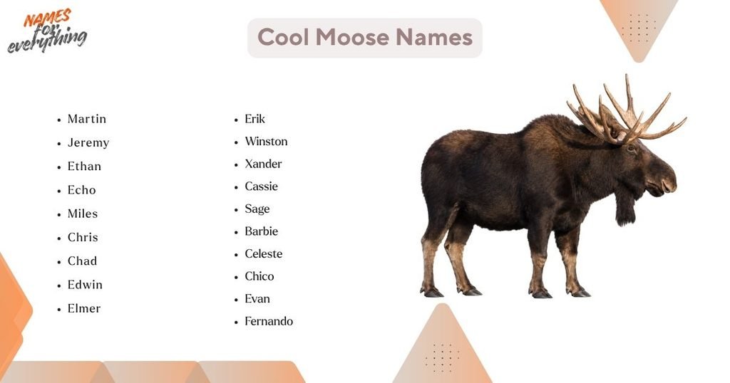 Cool Moose Names