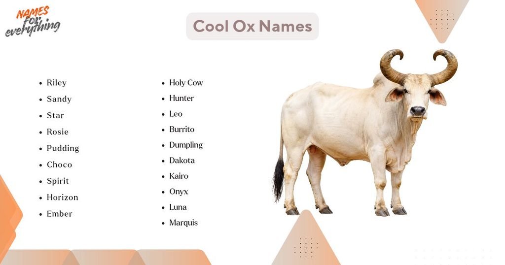 Cool Ox Names
