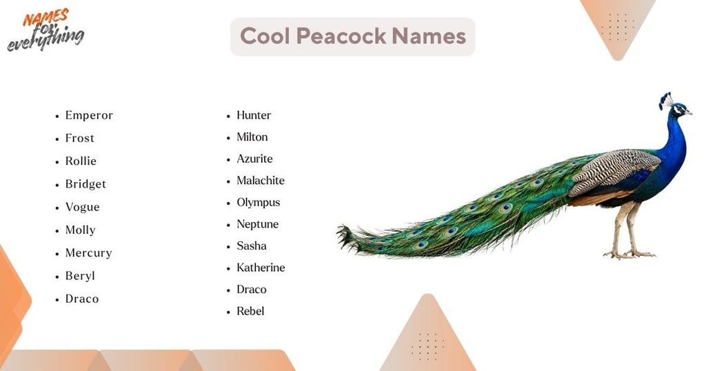 Cool Peacock Names