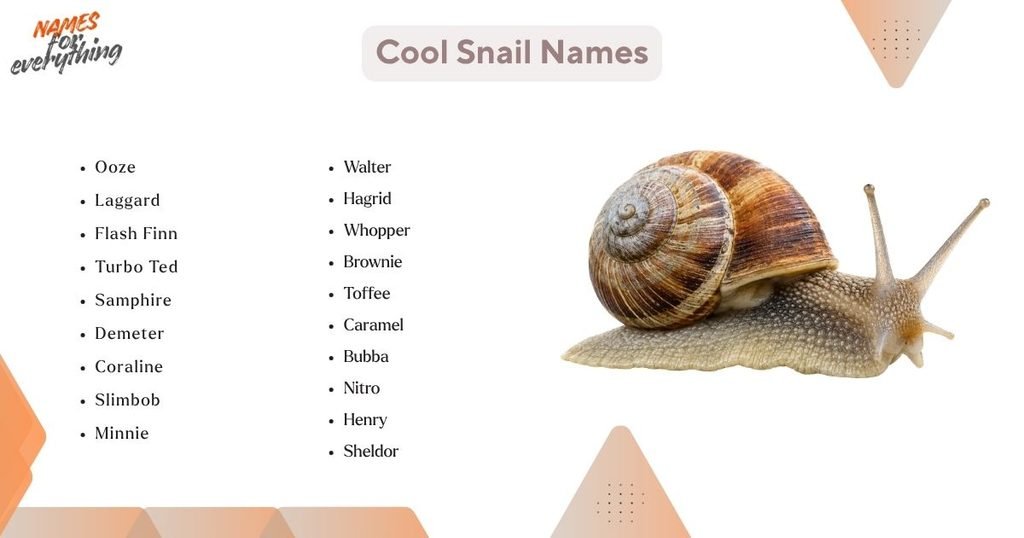 Cool Snail Names