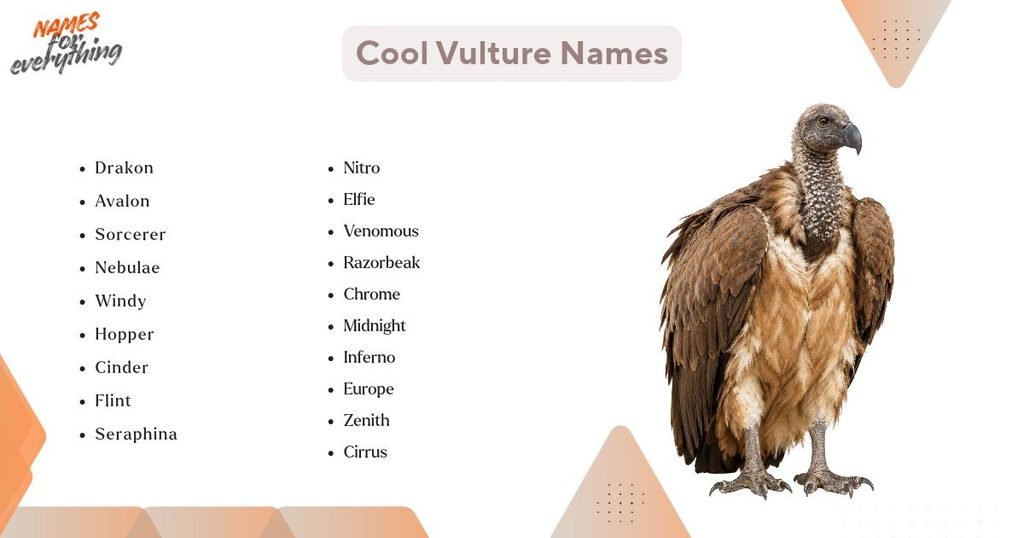 Cool Vulture Names