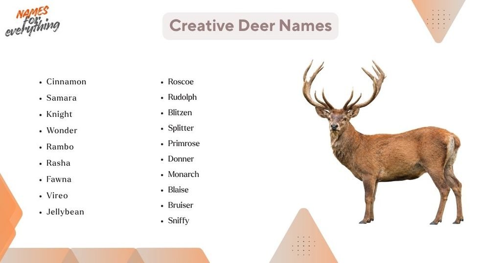 Creative Deer Names