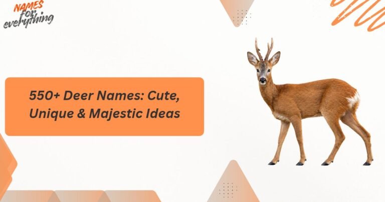 Deer Names