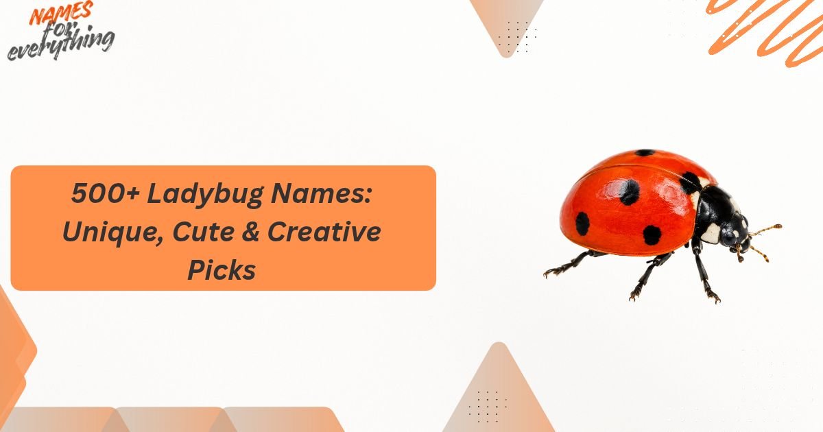 Ladybug Names