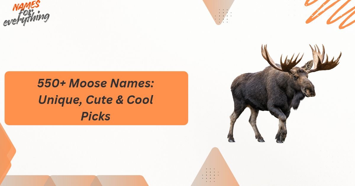 Moose Names