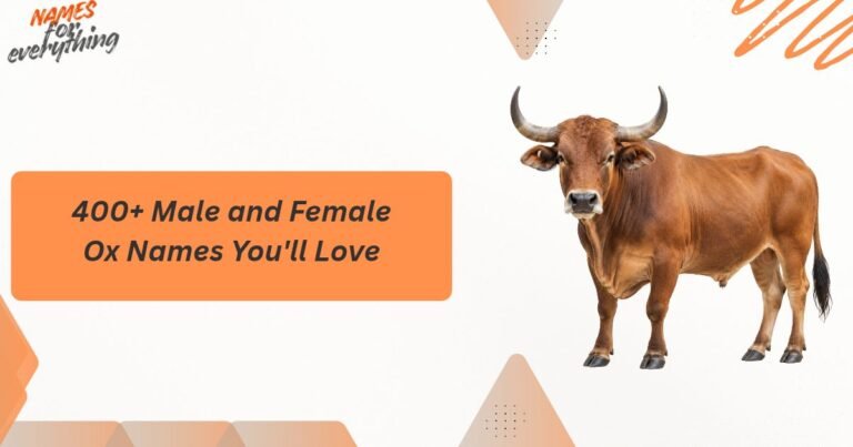 Ox Names